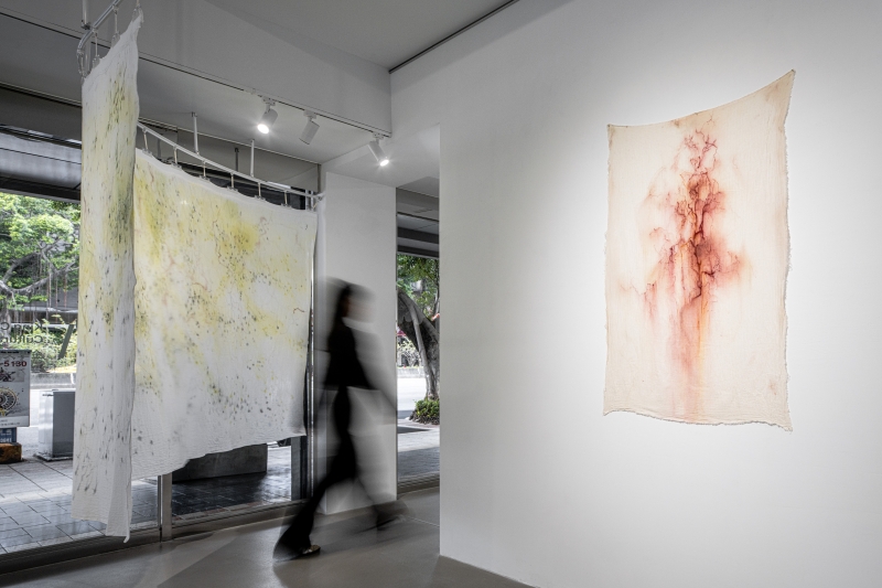 當細語在黑暗繁殖｜王千華個展｜王千華｜國藝會補助成果檔案庫